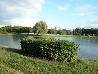 Similar image 22224173