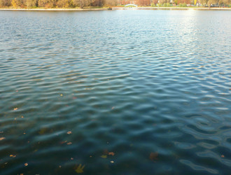 Similar image 22256748