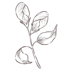 Similar image 22228464