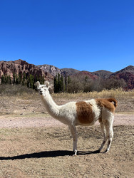 Similar image 22226851