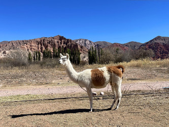 Similar image 22226852