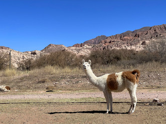 Similar image 22226854