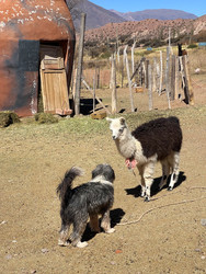 Similar image 22226855