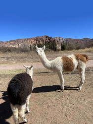 Similar image 22226856