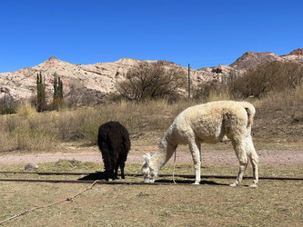 Similar image 22226857