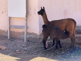 Similar image 22226858