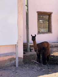 Similar image 22226859