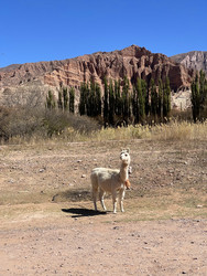 Similar image 22226937