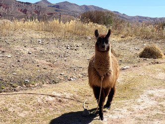 Similar image 22226938