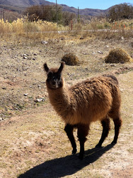 Similar image 22226939