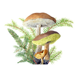 Similar image 22225715