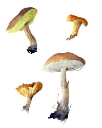 Similar image 22225716