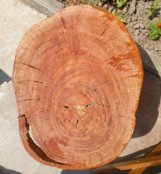 Similar image 22224017