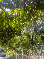 Similar image 22256743