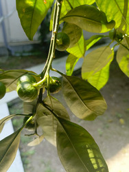 Similar image 22224020