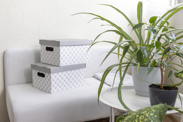 Similar image 22256750