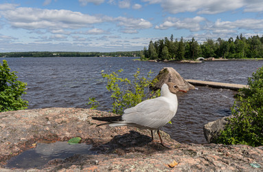 Similar image 22229480