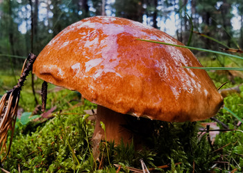 Similar image 22224300