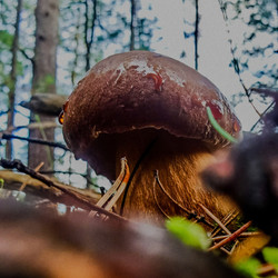 Similar image 22224301