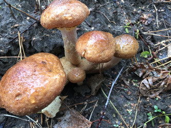 Similar image 22224302