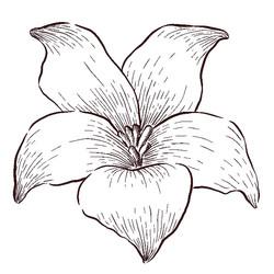 Similar image 22228475