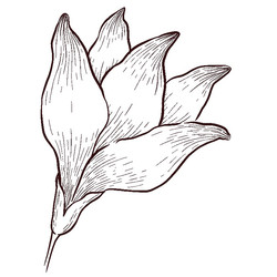 Similar image 22228476