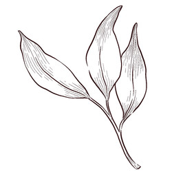 Similar image 22228477