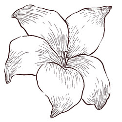 Similar image 22228479