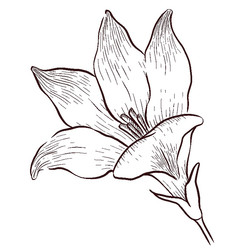 Similar image 22228480