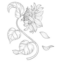 Similar image 22228617