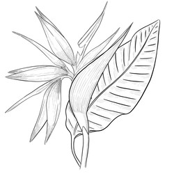 Similar image 22228618