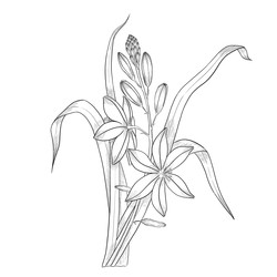 Similar image 22228657