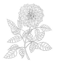 Similar image 22228658