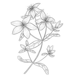 Similar image 22228659