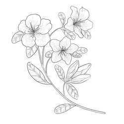 Similar image 22228661