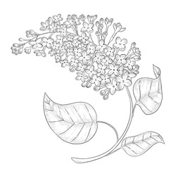 Similar image 22228662