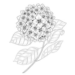 Similar image 22228666