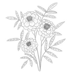 Similar image 22228667