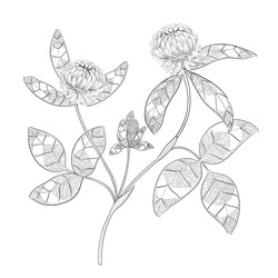 Similar image 22228670