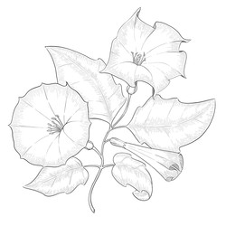 Similar image 22228695