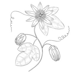 Similar image 22228699