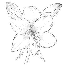 Similar image 22229106