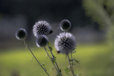 Similar image 22224203