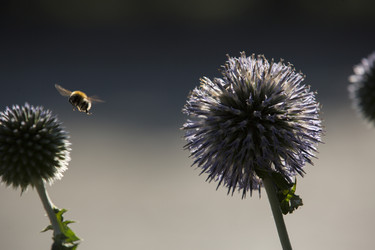 Similar image 22224204