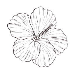 Similar image 22229211