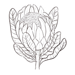 Similar image 22229212