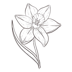 Similar image 22229213