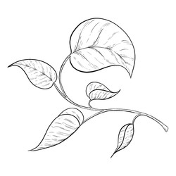 Similar image 22229215