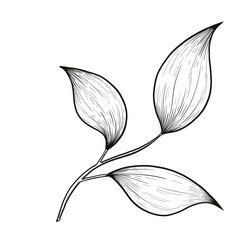 Similar image 22229216