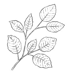 Similar image 22229218